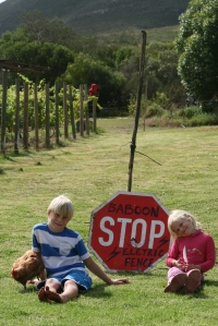 The kids saw this on the road and they thought it would be a good deterant for the baboons 